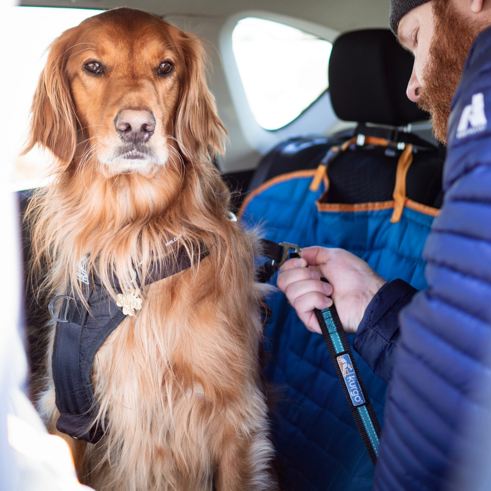 Kurgo hondenriem Direct to Seatbelt Swivel Tether – Blauw