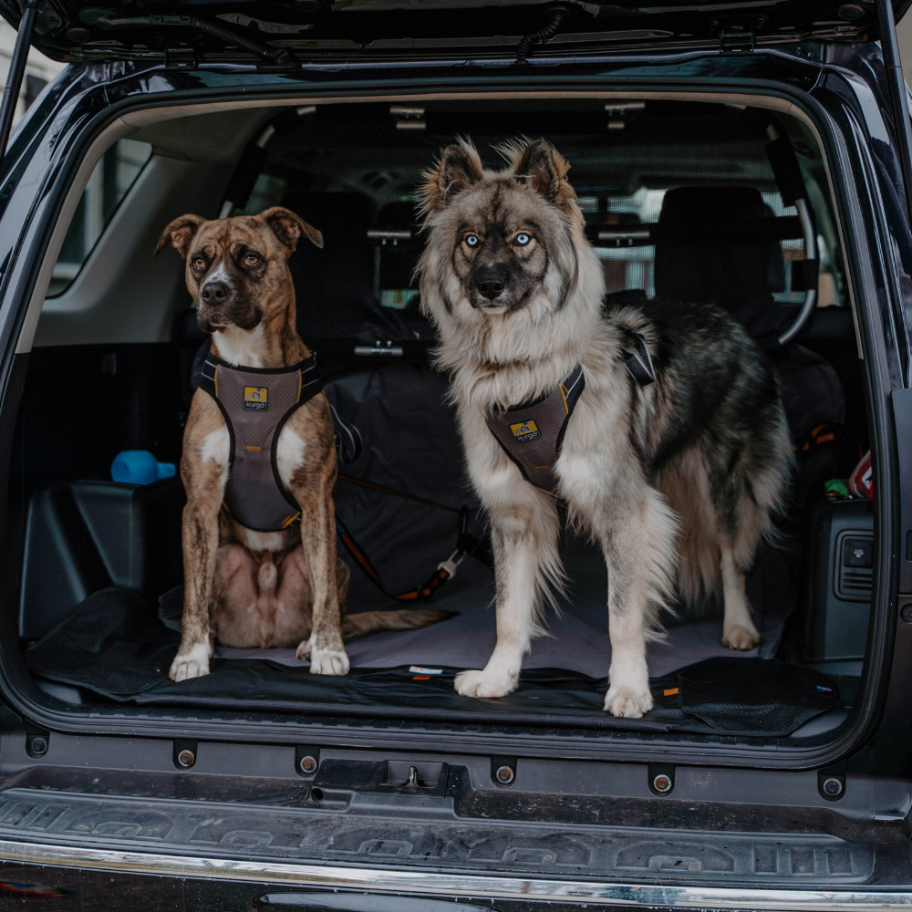 Kurgo Hondenharnas Impact Large 22-36 kg – Veiligheid in de auto