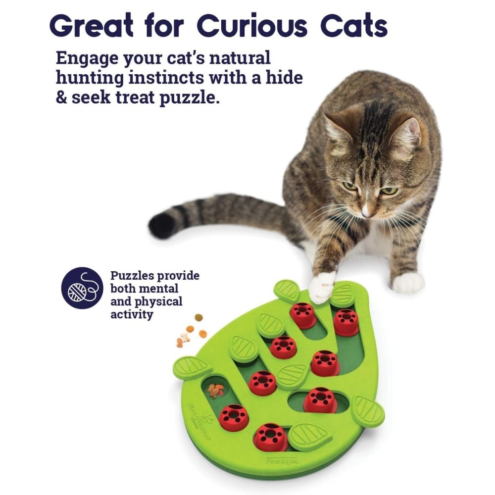 Petstages Kattenpuzzel Buggin' Out Puzzle & Play – Uitdagend Speelgoed