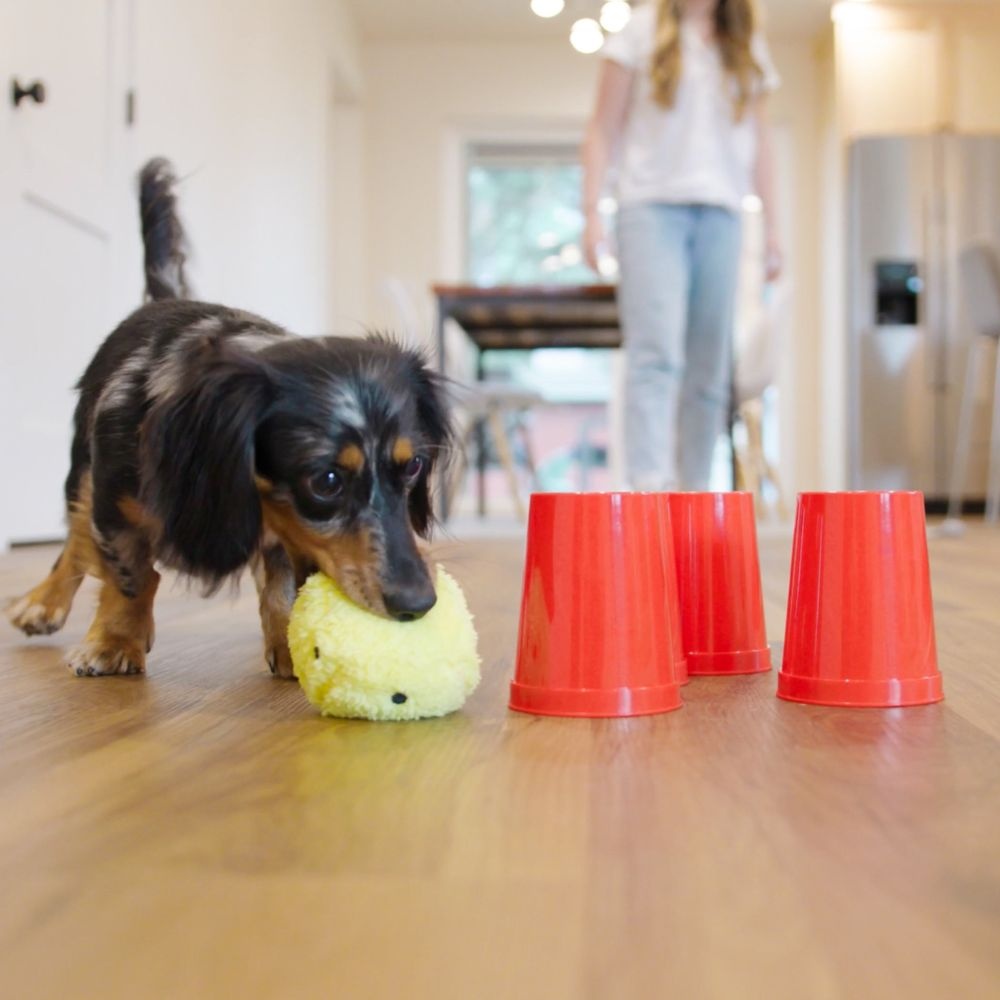 The Dog's Best Friend Game™