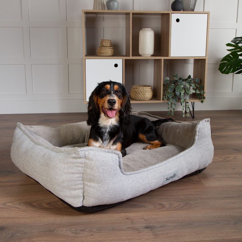 Harvard Orthopedisch Box Bed - Grafietgrijs / Extra Large - 90 x 70 cm