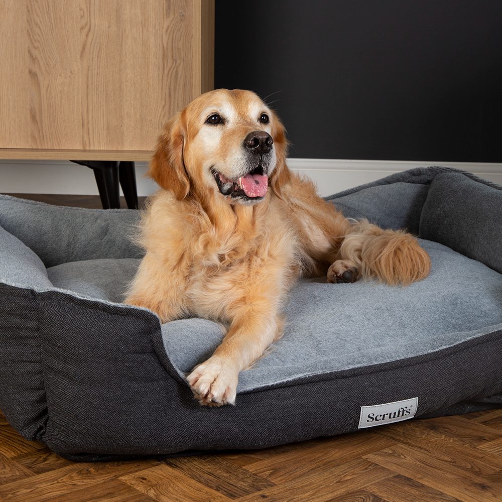 Harvard Orthopedisch Box Bed - Grafietgrijs / Extra Extra Large - 110 x 85 cm
