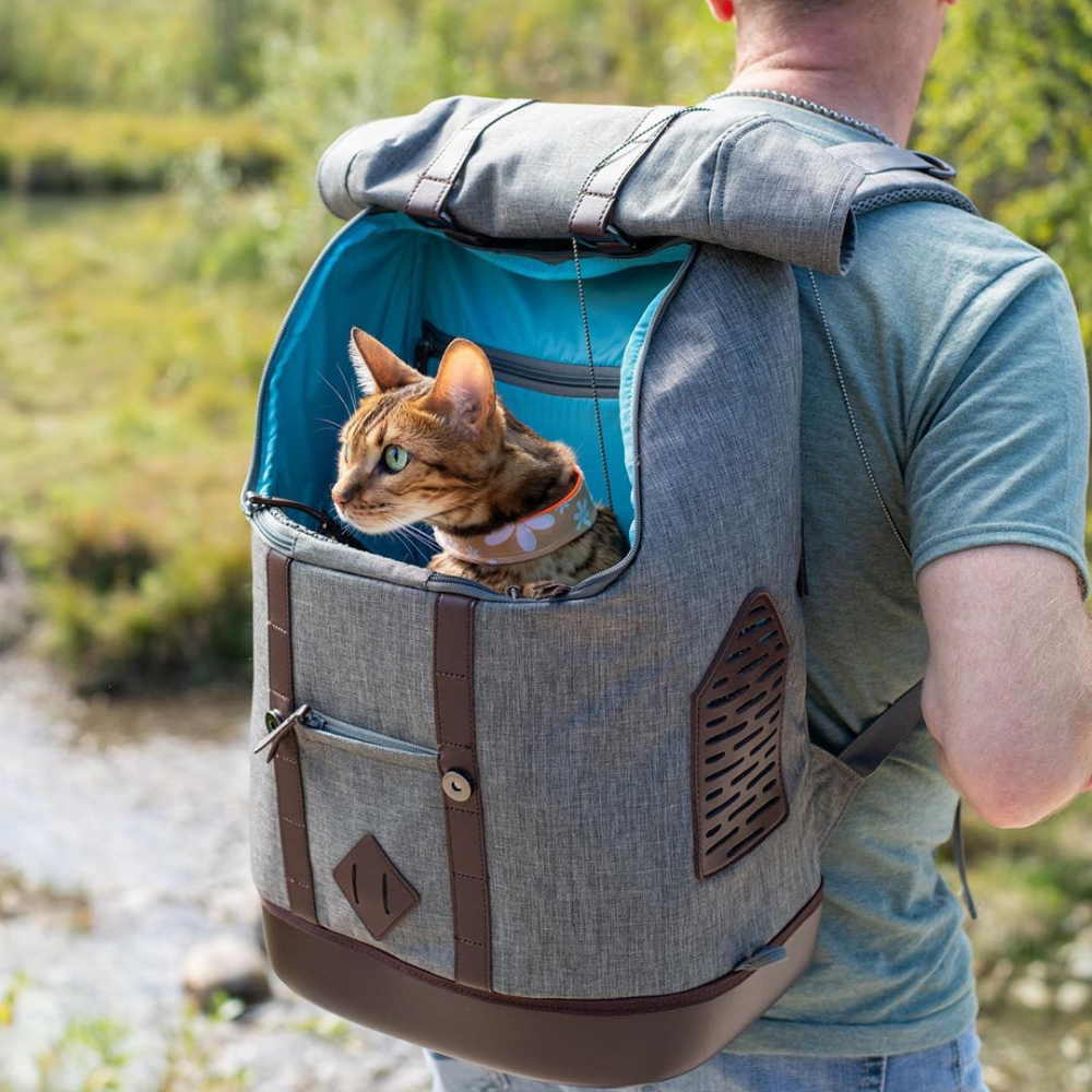 Kurgo hondenrugzak K9 Rucksack – Reisstijl voor jouw hond