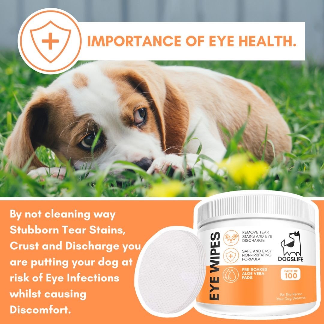 DogsLife Oogdoekjes DogsLife Eye Wipes – Voor Honden verzorging