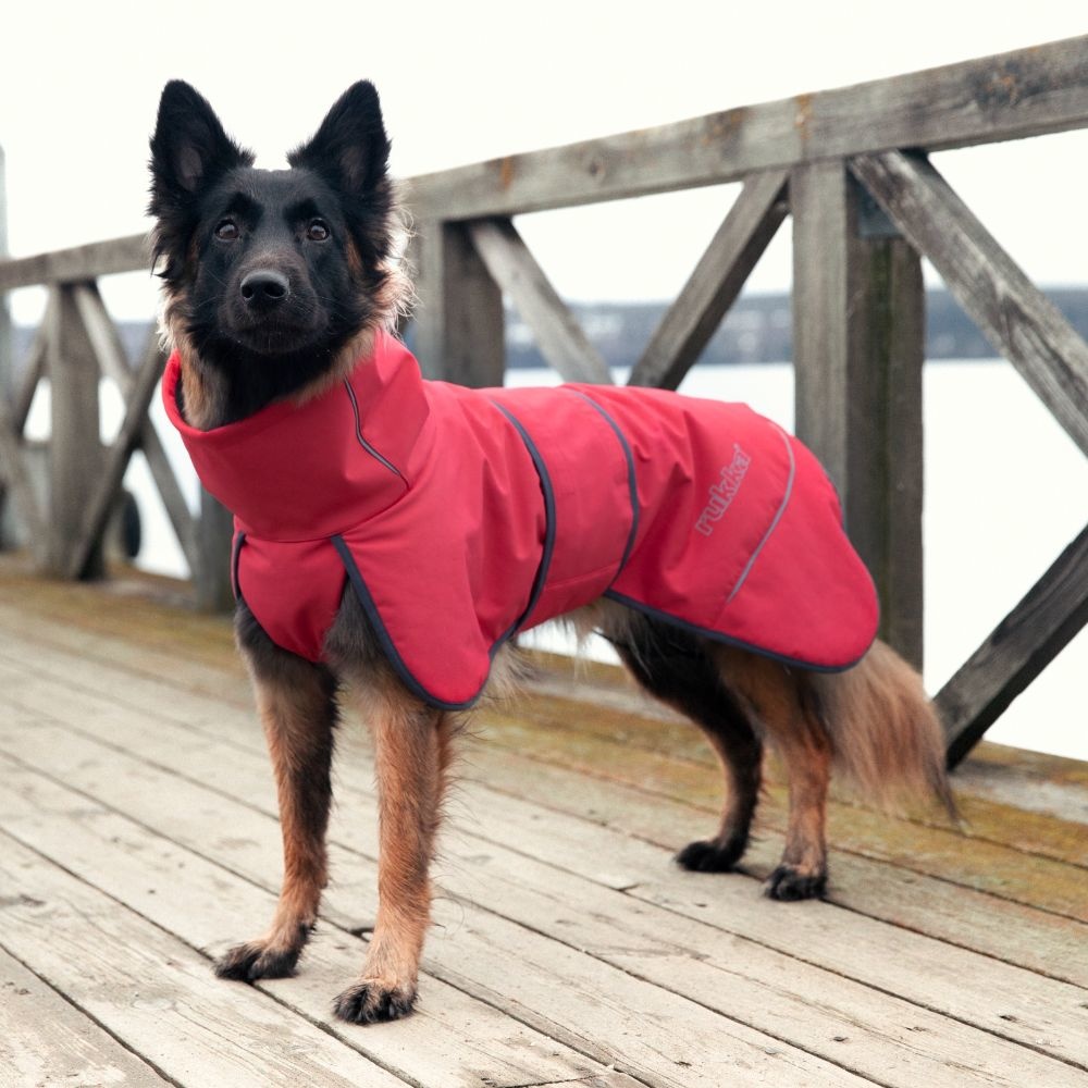 Rukka hondenjas Windy Thermal Jacket 65 cm – Rood