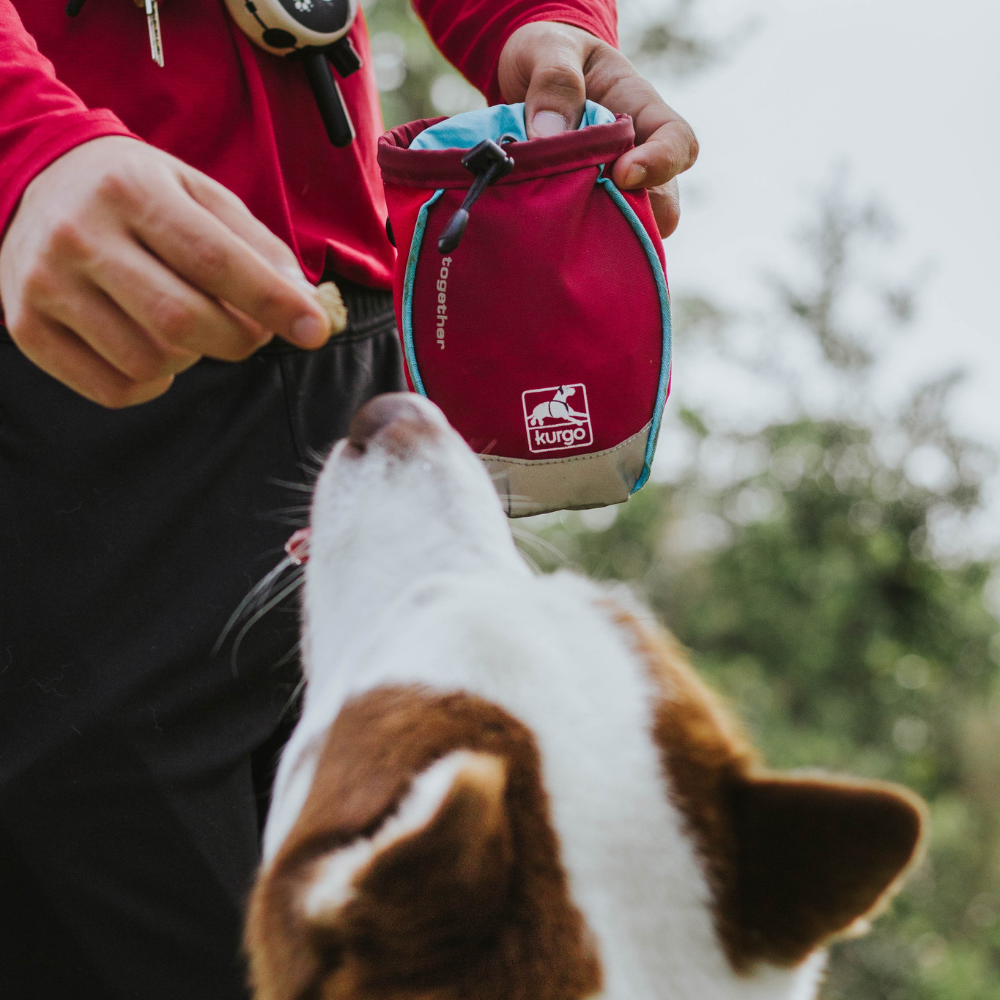 Kurgo honden traktatentasje Go Stuff It Chili Rood – handige bevestiging