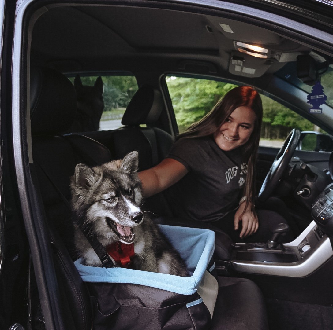 Kurgo hondenzitplaats Rover Booster Seat – comfortabel voor de auto