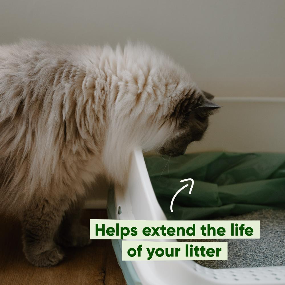 Cat Poop Bags - Scented with Handles (140)
