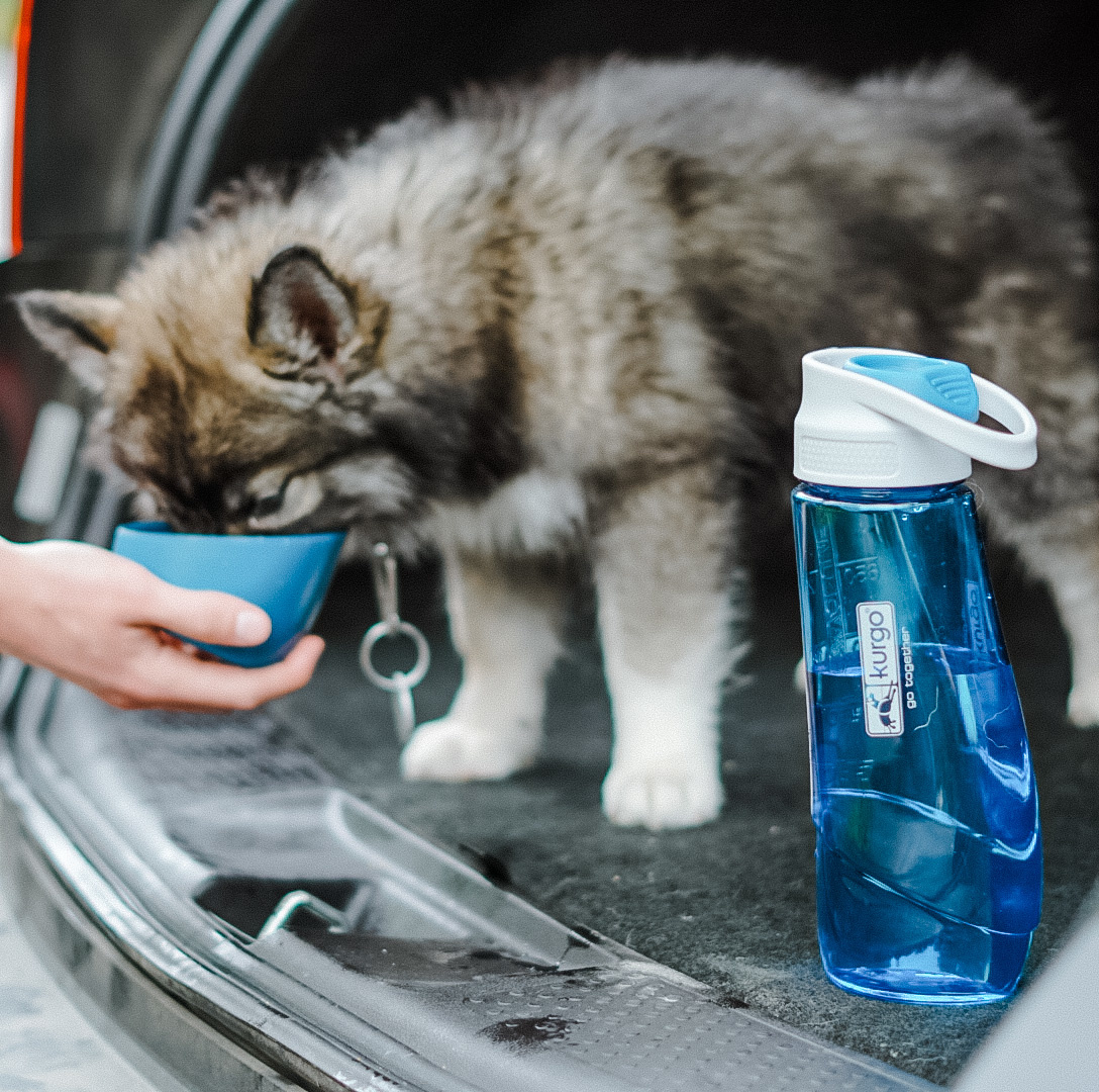 Kurgo Drinkfles en Bakje Gourd H2O Blauw - Lichtgewicht & Hygiënisch
