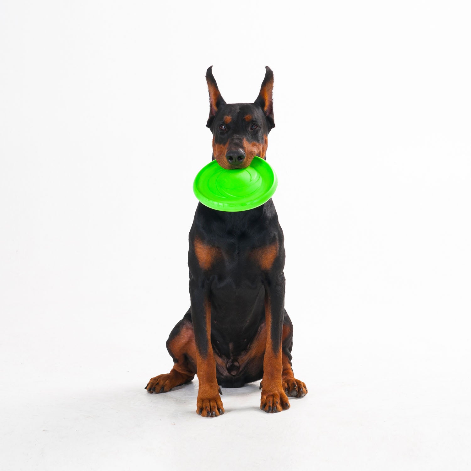 Flyber Flyber frisbee drijvend 22x22x5 cm