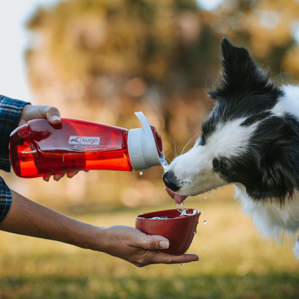 Kurgo Gourd H2O Drinkfles & Kom Rood – Lichtgewicht & Hygiënisch
