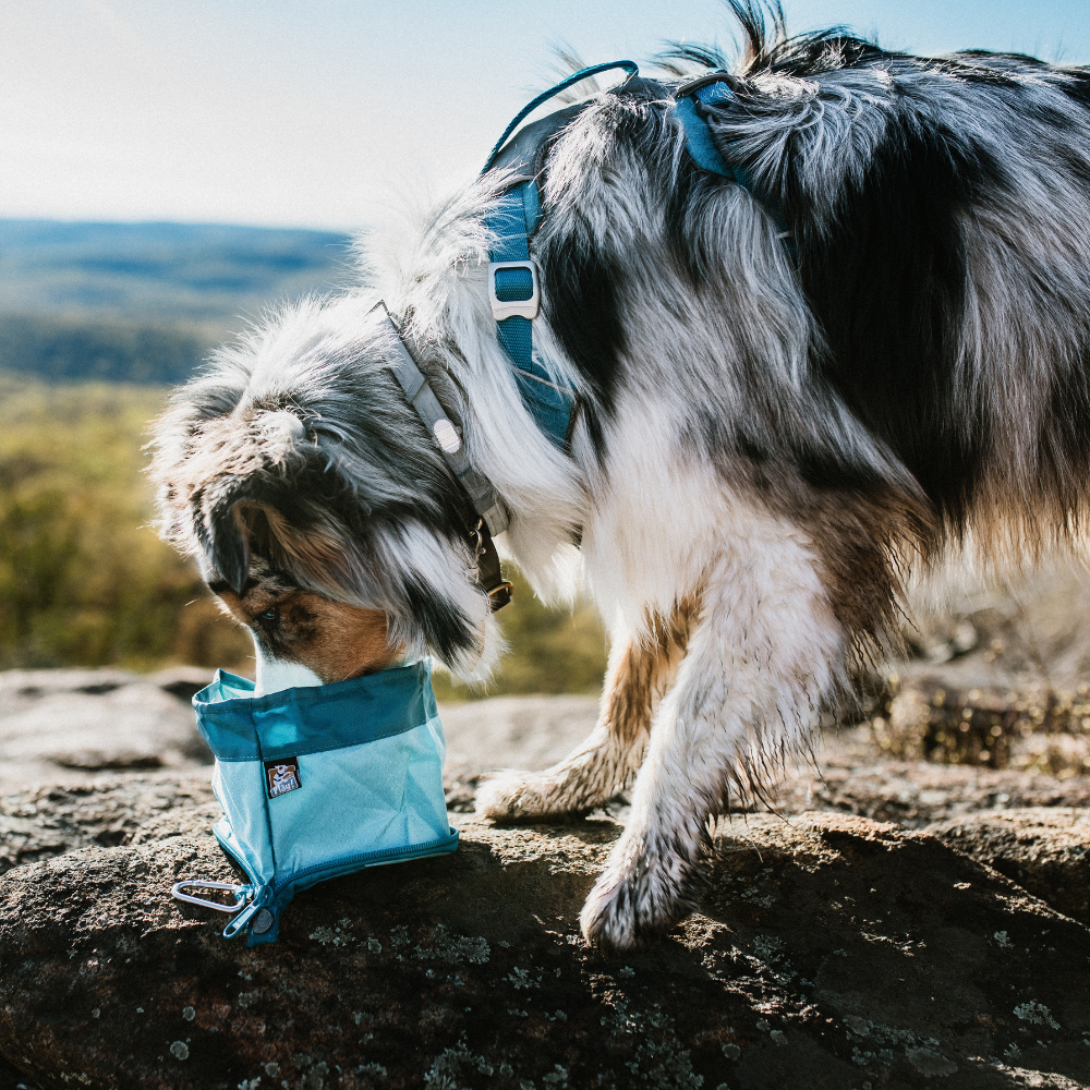 Kurgo Hondenvoerbak Zippy Bowl Blauw – Lichtgewicht en Vouwbaar