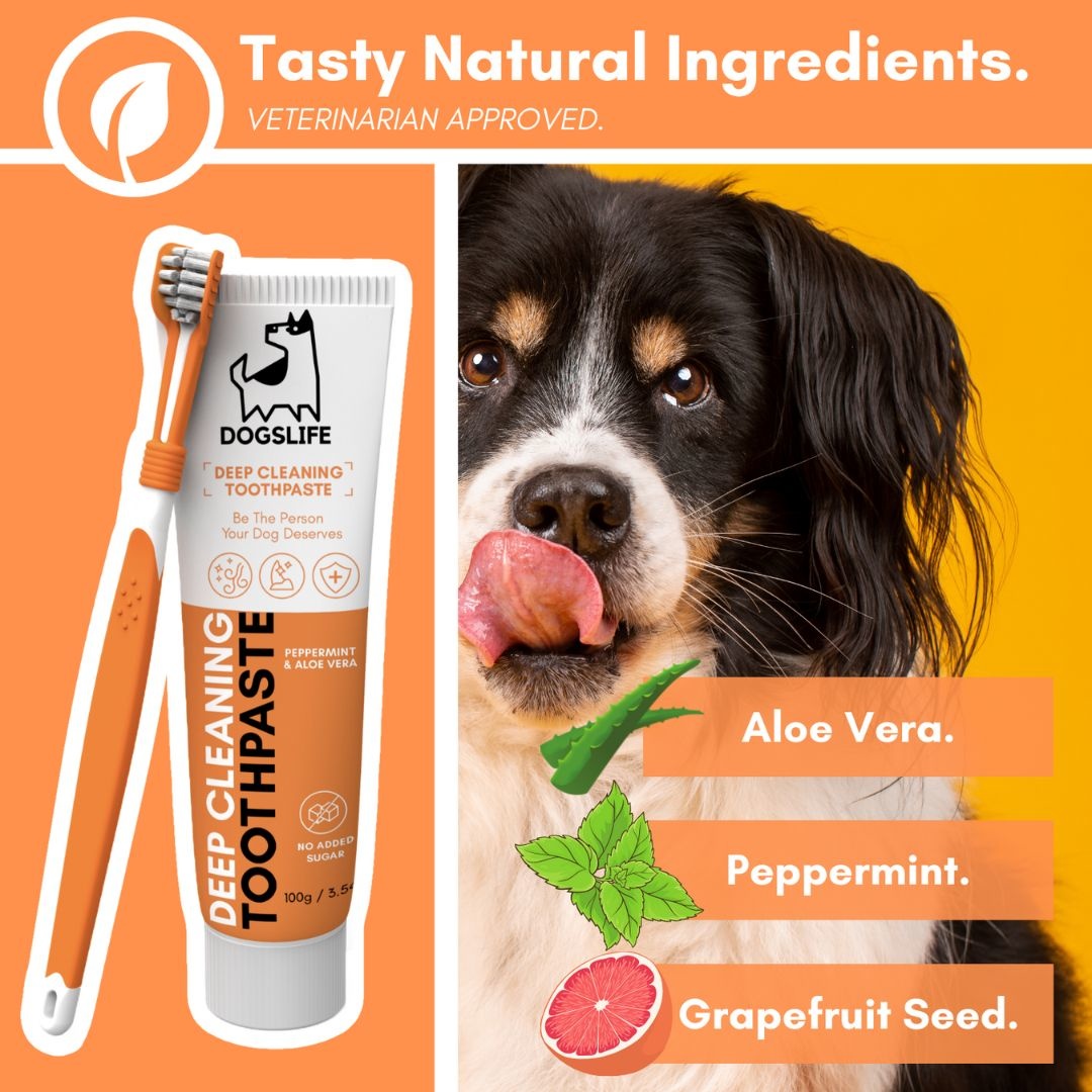 DogsLife honden tandenborstel Dental Kit – mondhygiëne verbeteren