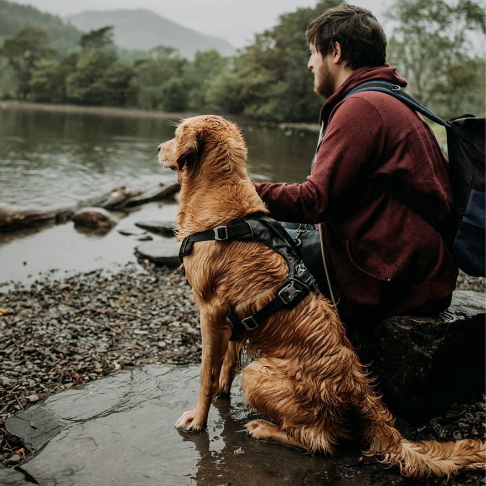 Kurgo Hondenharnas Journey Air Extra Large - Borst 71-112 cm