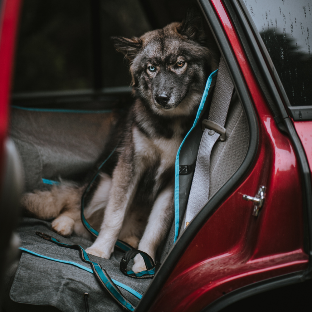 Kurgo Halve Hammock Heather Grey – Waterproof 140×135 cm