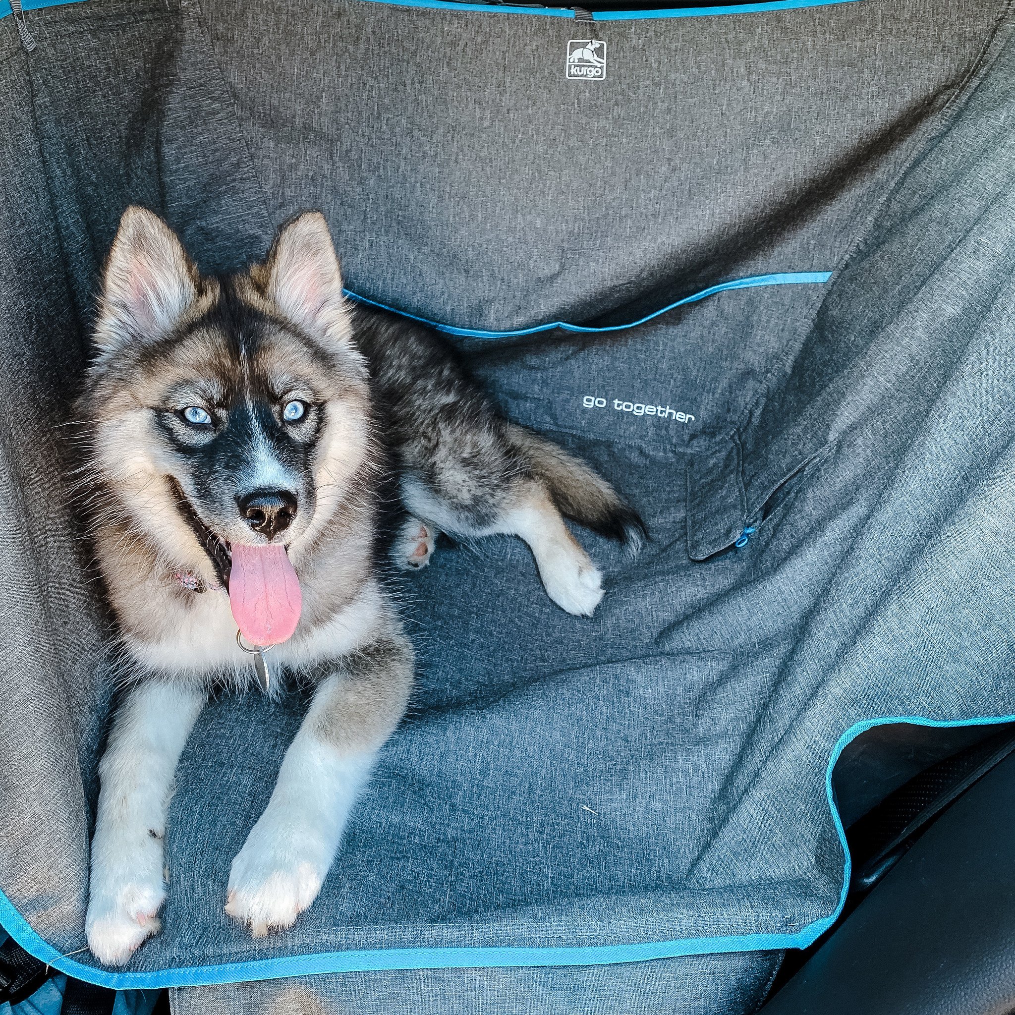 Kurgo Halve Hammock Heather Grey – Waterproof 140×135 cm