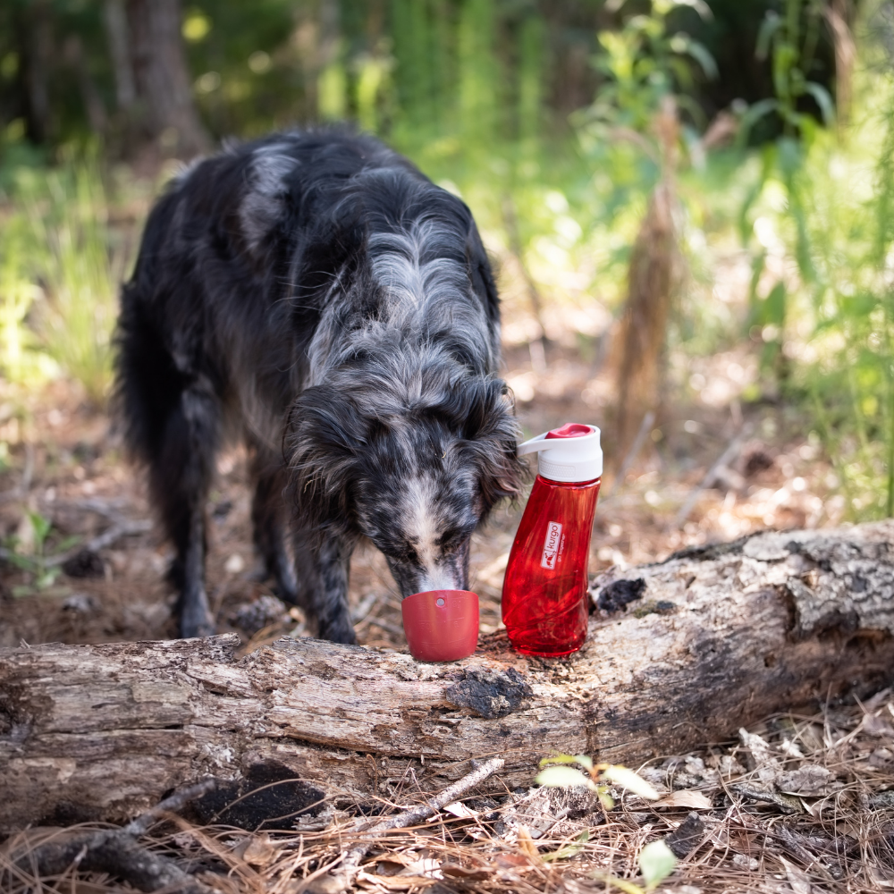 Kurgo Gourd H2O Drinkfles & Kom Rood – Lichtgewicht & Hygiënisch
