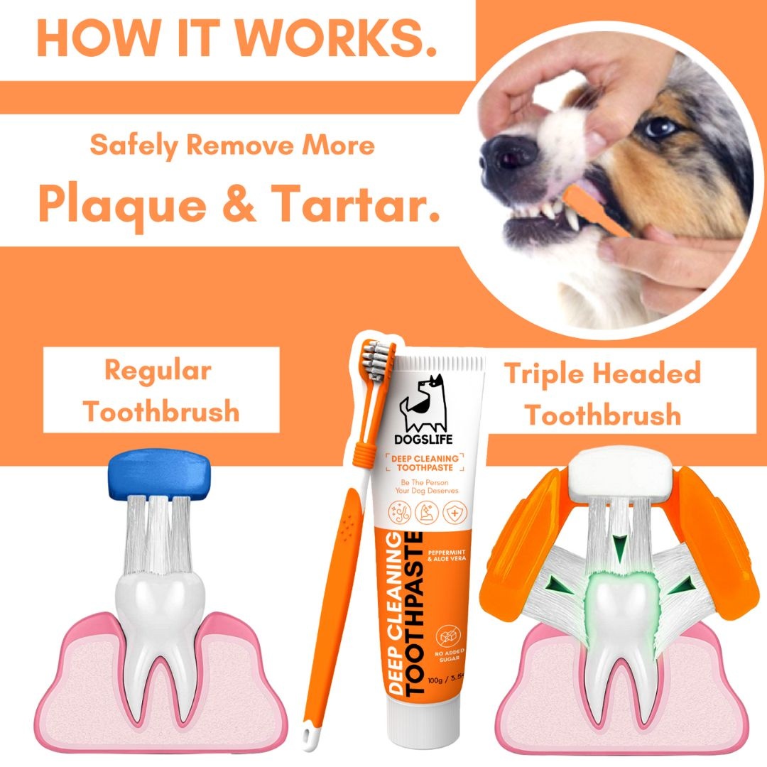 DogsLife honden tandenborstel Dental Kit – mondhygiëne verbeteren