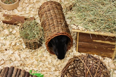 NATURE FIRST Wilgen hooirek HAPPY PET 100% natuurlijk & eetbaar multifunctioneel hooi en nest - Naturel - 14 cm