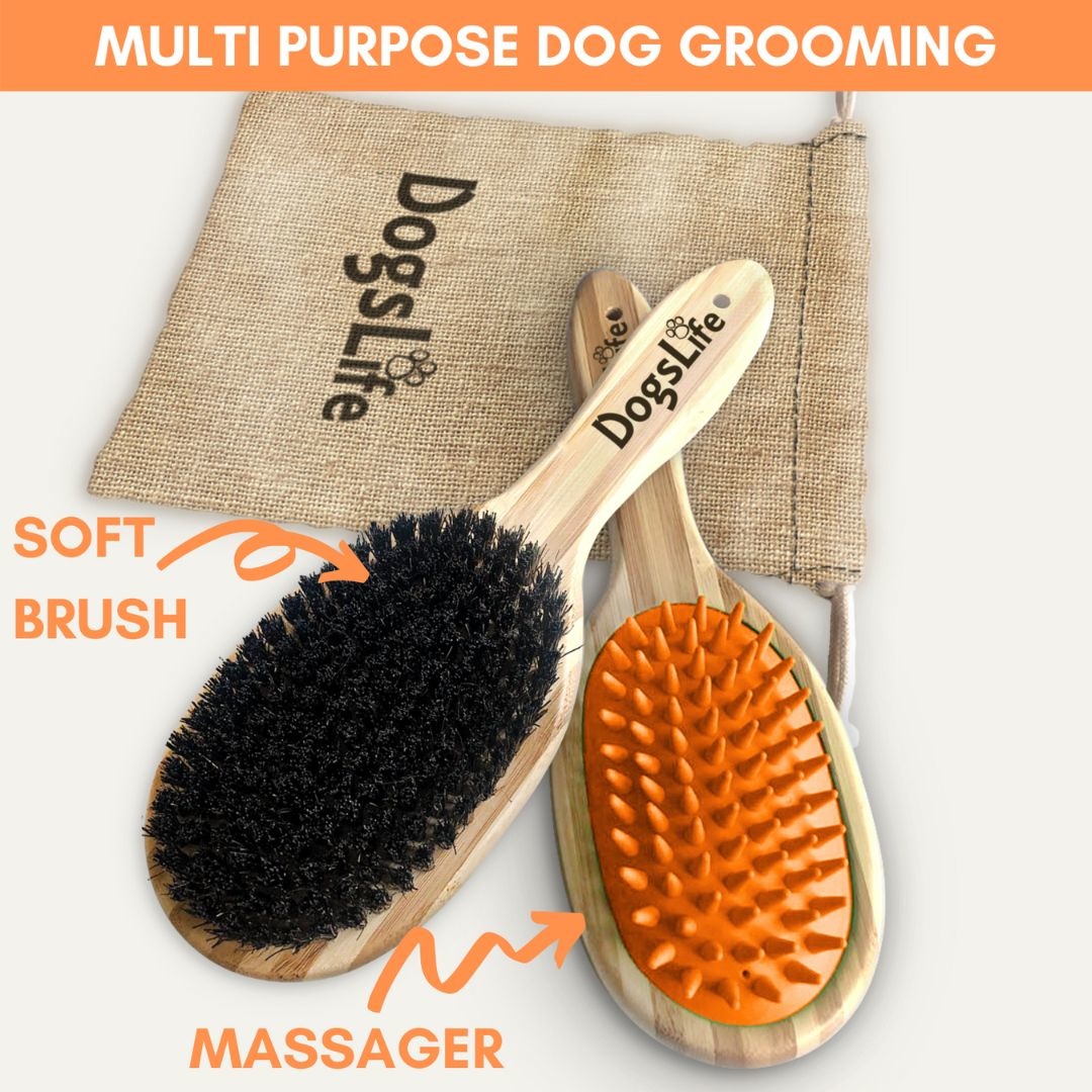 DogsLife Hondenborstel DogsLife Bamboo Dog Brush – Dubbelzijdig