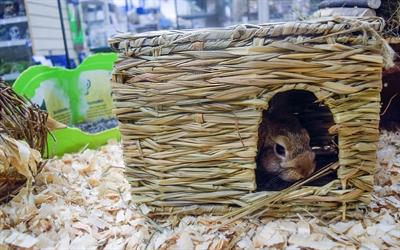 NATURE FIRST Verstopplek Grassy Hideaway Happy Pet 100% natuurlijk gras, veilig knaagbaar - Naturel - L 36x26x24 cm