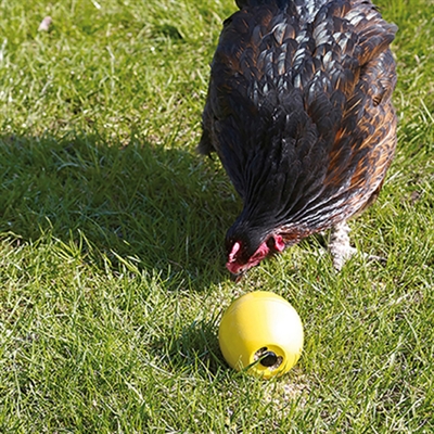 SAVIC Kippenspeelgoed CHICKEN FUN Voerbal voor actief voeren en spelen - assorti - uni maat