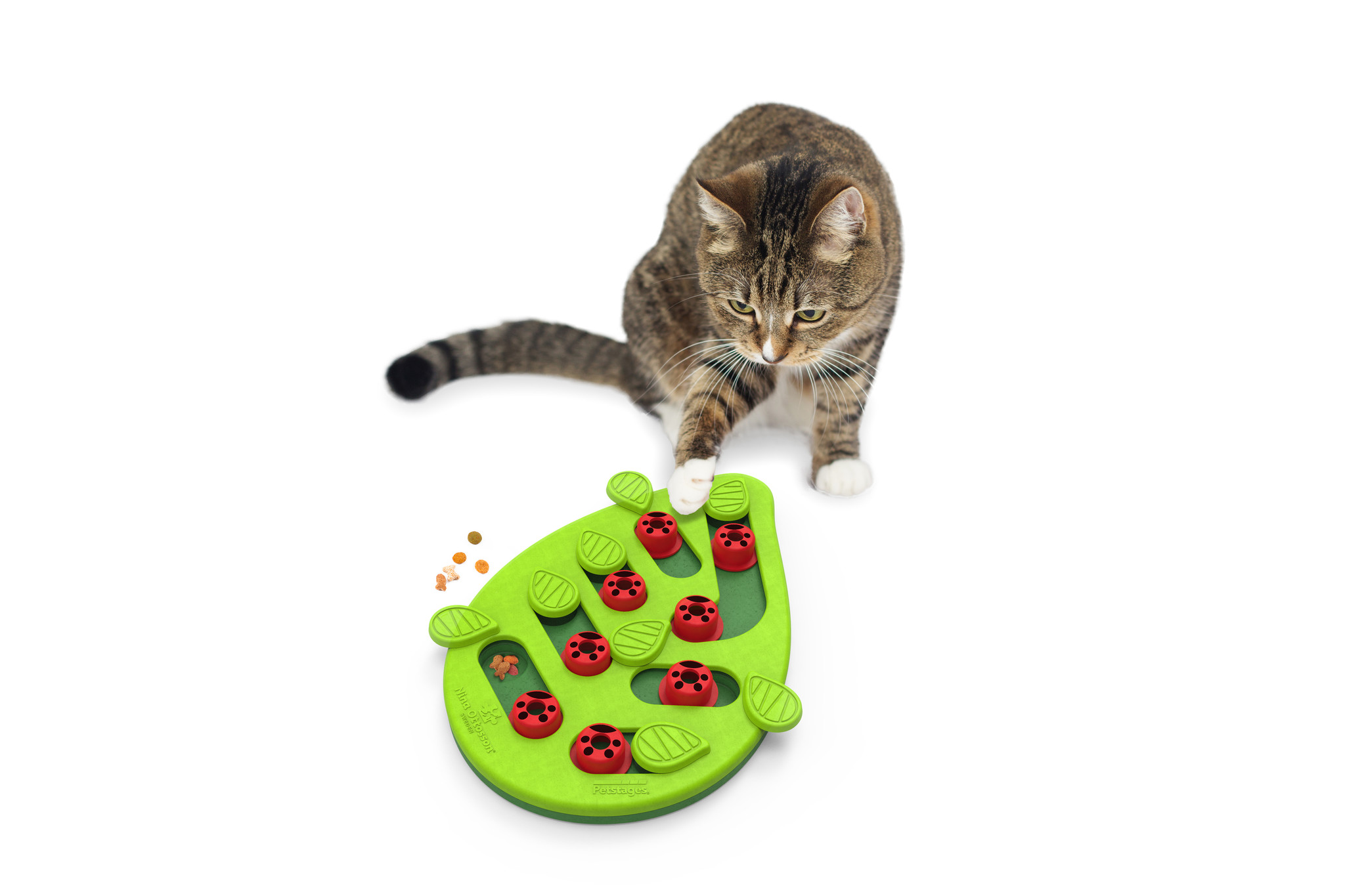 Petstages Kattenpuzzel Buggin' Out Puzzle & Play – Uitdagend Speelgoed