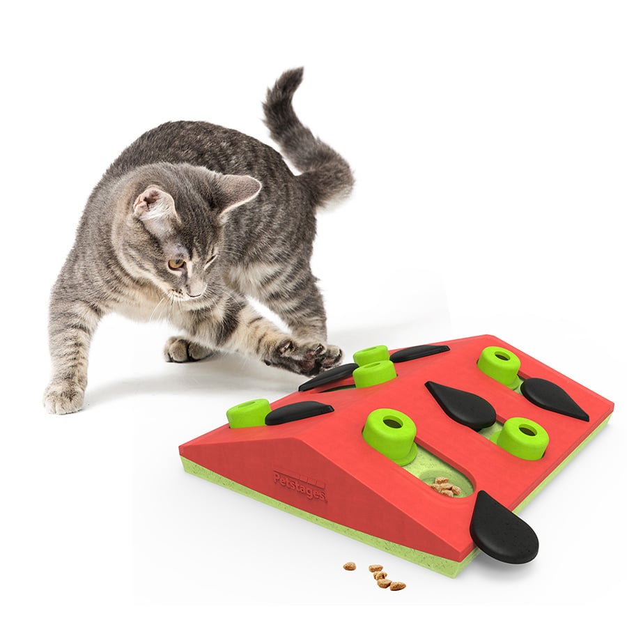 Petstages kattenpuzzel Melon Madness Puzzle & Play – Speelgoed voor katten