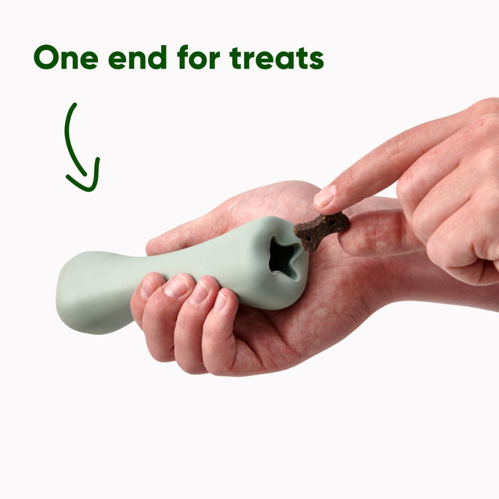 Treat Bone - Rosa