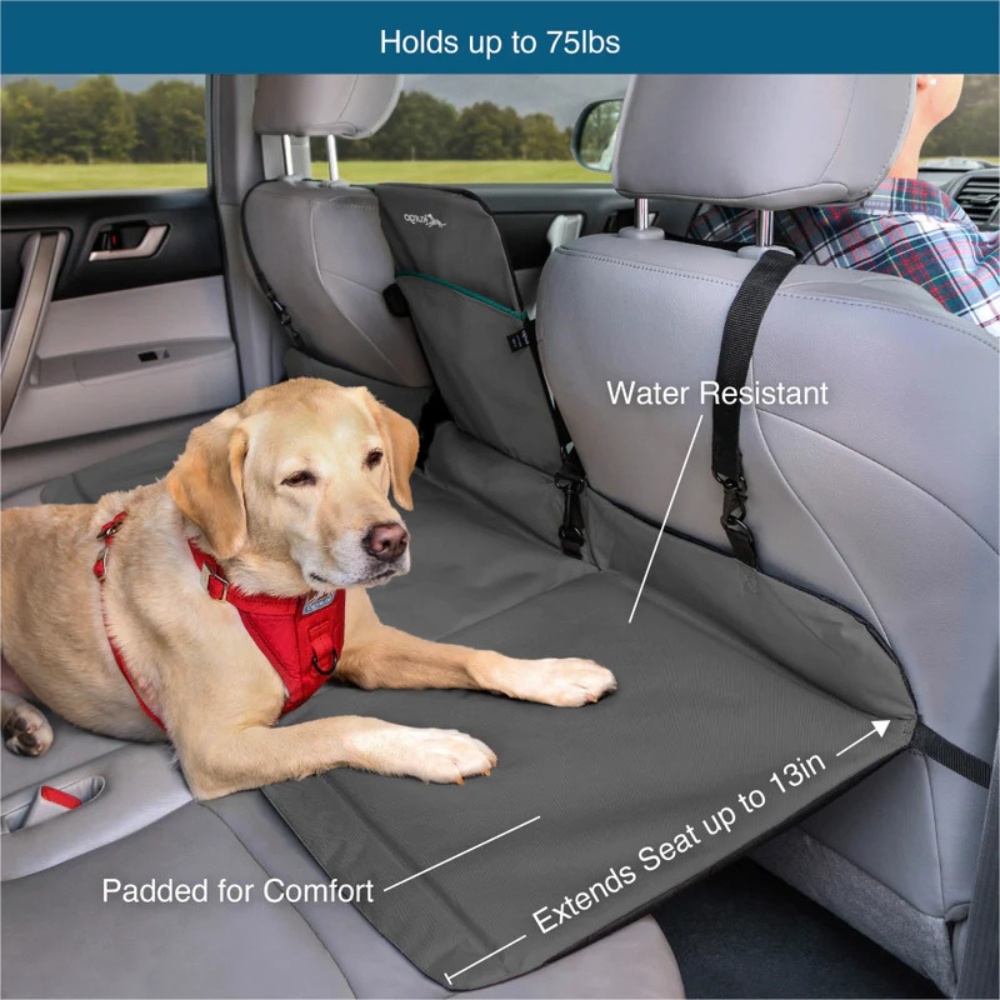 Rover Backseat Bridge