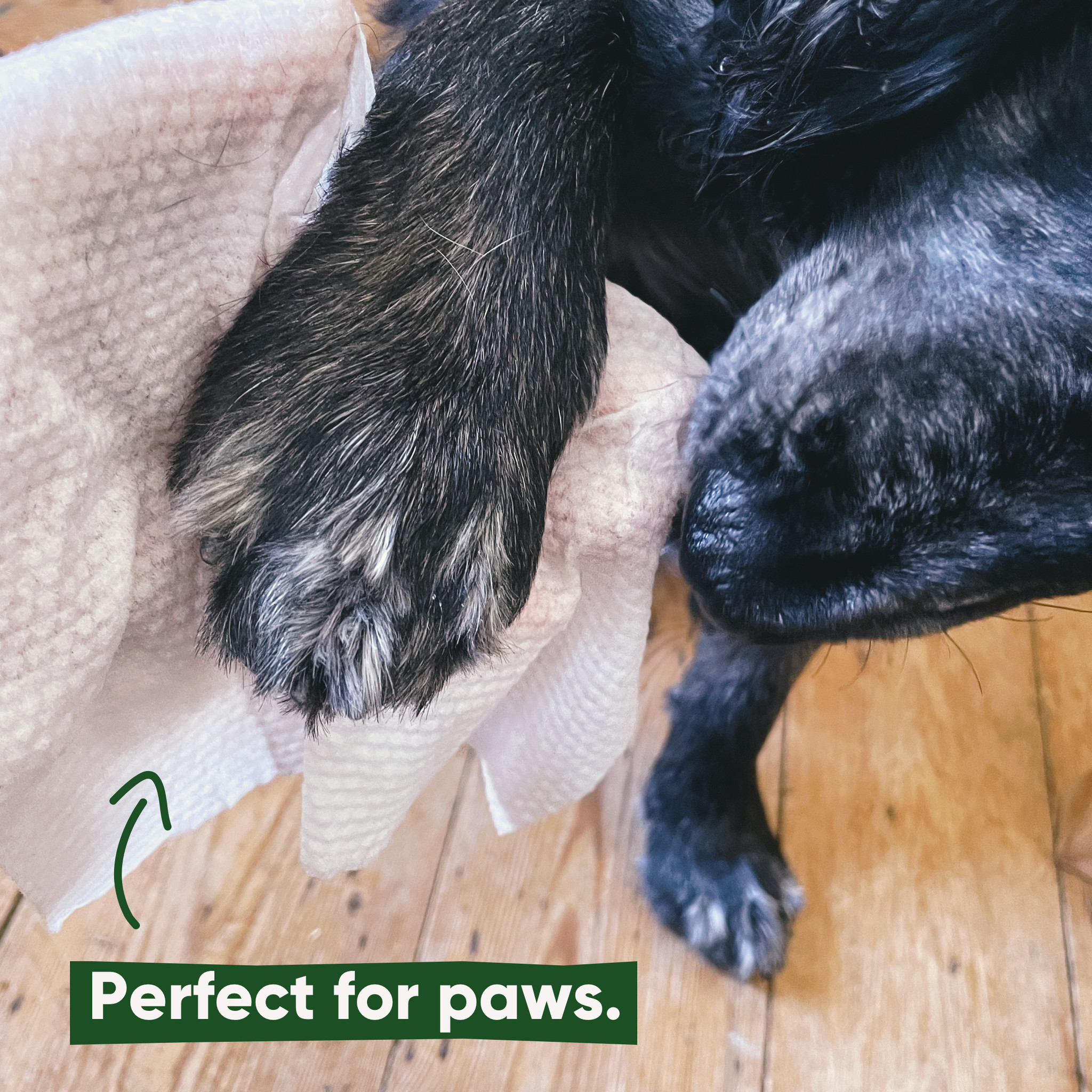 Beco Honden Doekjes Bamboo 80 Stuks – Geurloos, Shea & Aloë Vera