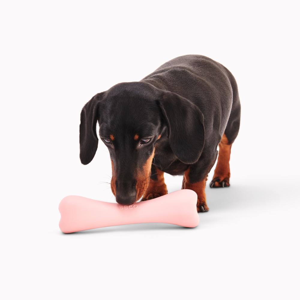 Treat Bone - Rosa