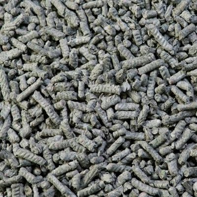 BACK-2-NATURE Bodembedekking Gerecycled 99% gerecycled papier, zeer absorberend en geurbindend - 30 L