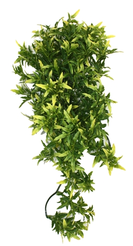 KOMODO Kunstplant CROTON PLANT Realistische replica voor terraria & quarantaine, verstopplekken stimuleert beweging - Groen - 40 cm