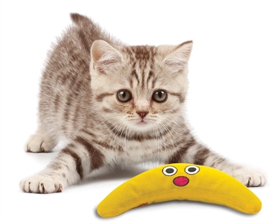 PETSTAGES Kattenspeeltje Green Magic Boomerang Buddy met catnip - Groen - 23,5x10x4 cm