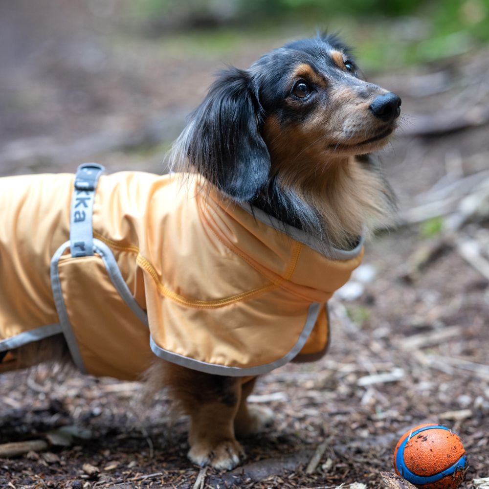 Rukka Crisp Cooling Jacket verkoelend hondenjasje