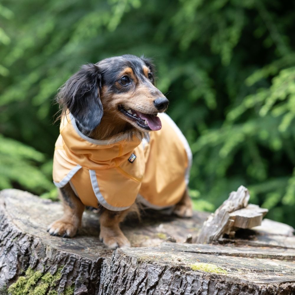 Rukka Crisp Cooling Jacket verkoelend hondenjasje