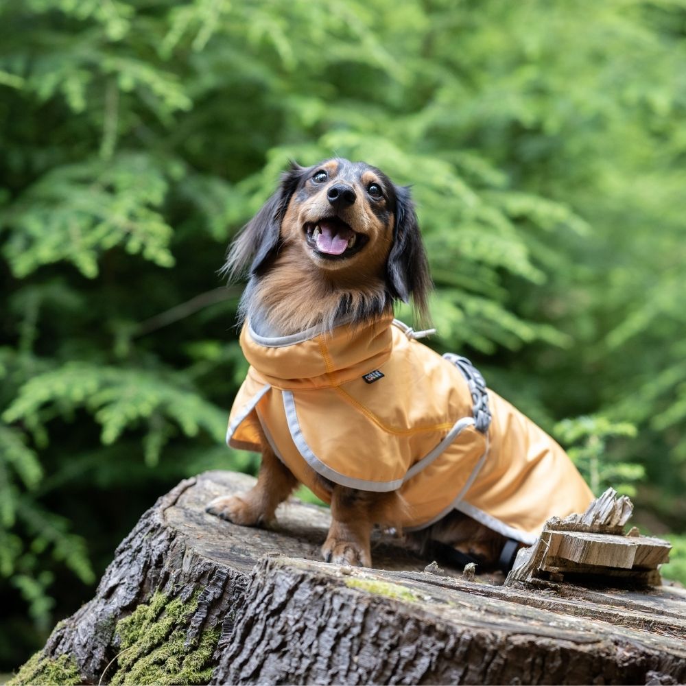Rukka Crisp Cooling Jacket verkoelend hondenjasje