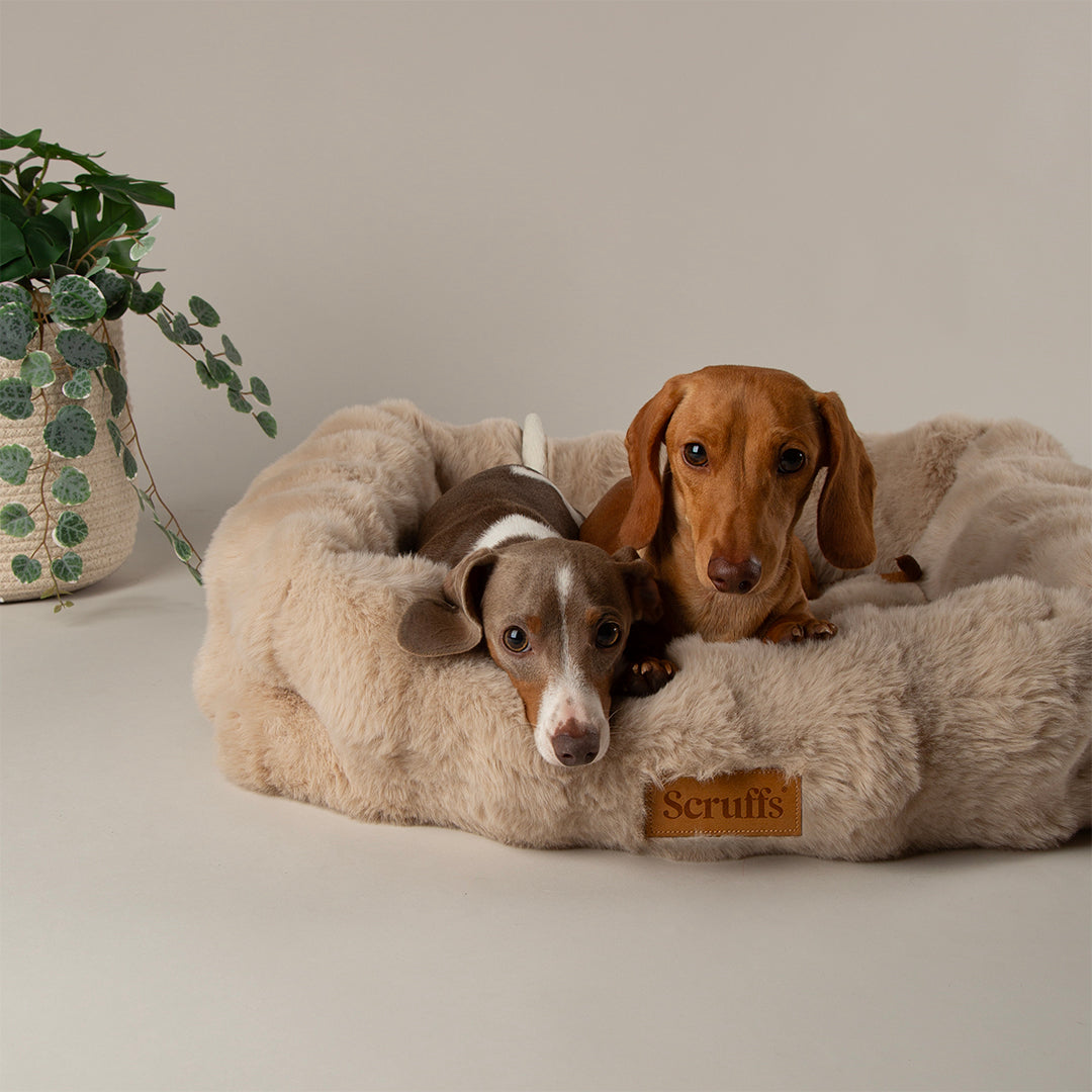 Alpine Box Bed - Taupe / M - 60 x 50 x 16 cm