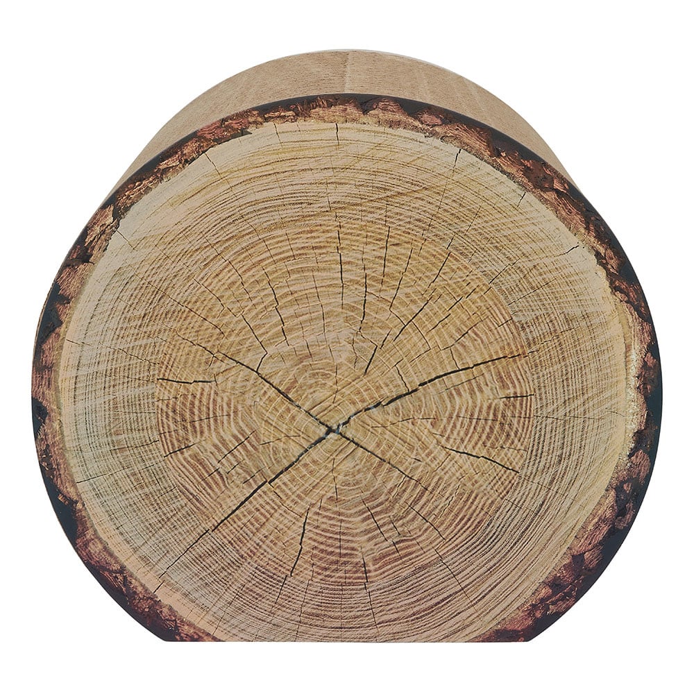 District 70 Krabmeubel TRUNK Boomstam Design – Katten meubel