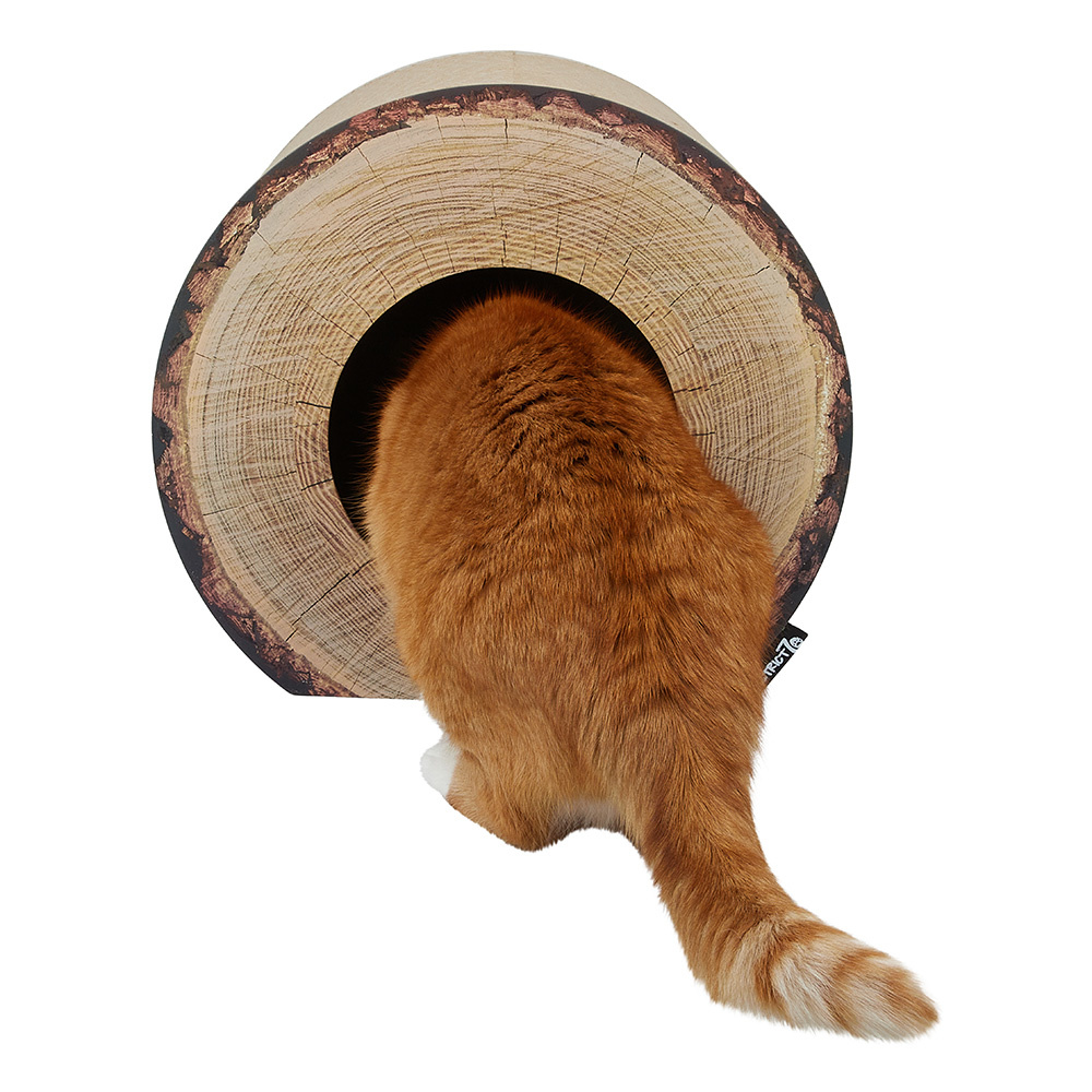 District 70 Krabmeubel TRUNK Boomstam Design – Katten meubel