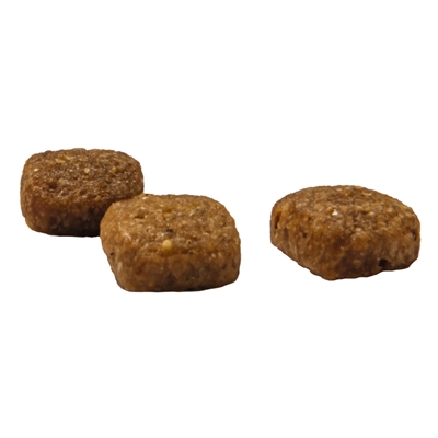 PRINS Kattenvoeding CAT VITAL CARE SENIOR Aangepaste energie & mineralen, behoudt spiermassa, voorkomt blaasgruis - 10 kg