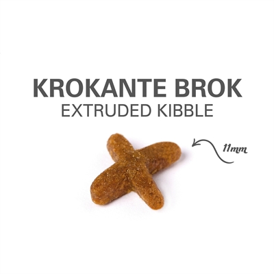 PRINS Cat VitalCare Indoor Kattenvoer - Voor binnenkatten, gewichtscontrole, natuurlijke vezels - 10 kg