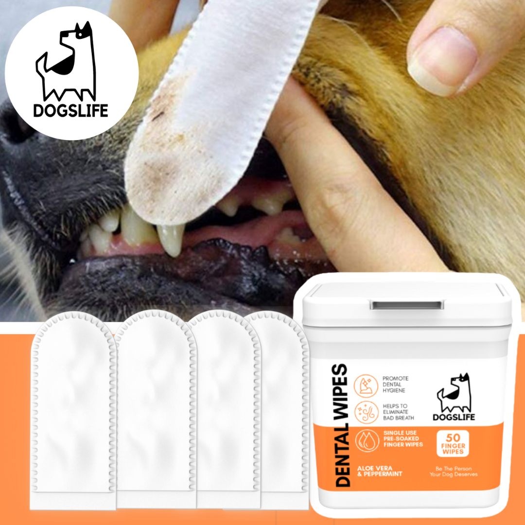 DogsLife Dental Wipes - Gebitsreiniging voor honden – 20 stuks