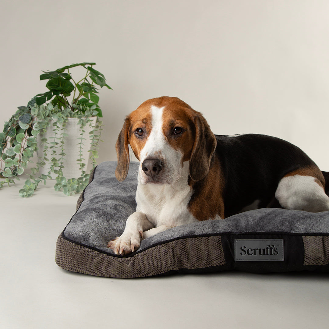 Scruffs Chester slaapplaats gerecycled polyester Large 100x70 cm