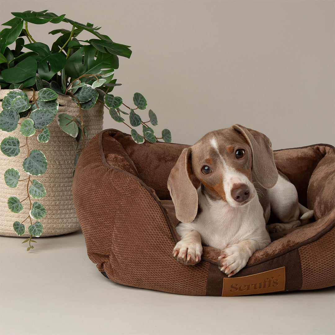 Chester Box-Bett - Grau / Medium - 60 x 50 cm