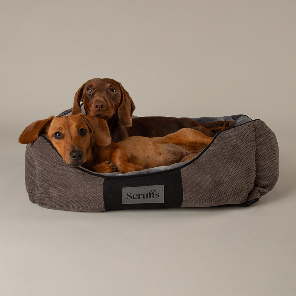 Chester Box Bed - Grijs / Medium - 60 x 50 cm