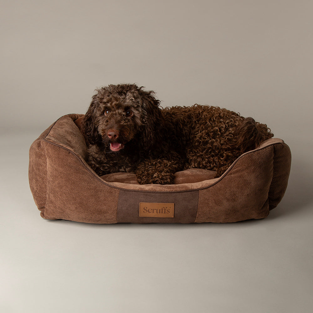Chester Box-Bett - Grau / Medium - 60 x 50 cm