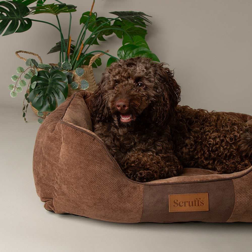 Chester Box Bed – Schokoladenbraun / Medium – 60 x 50 cm