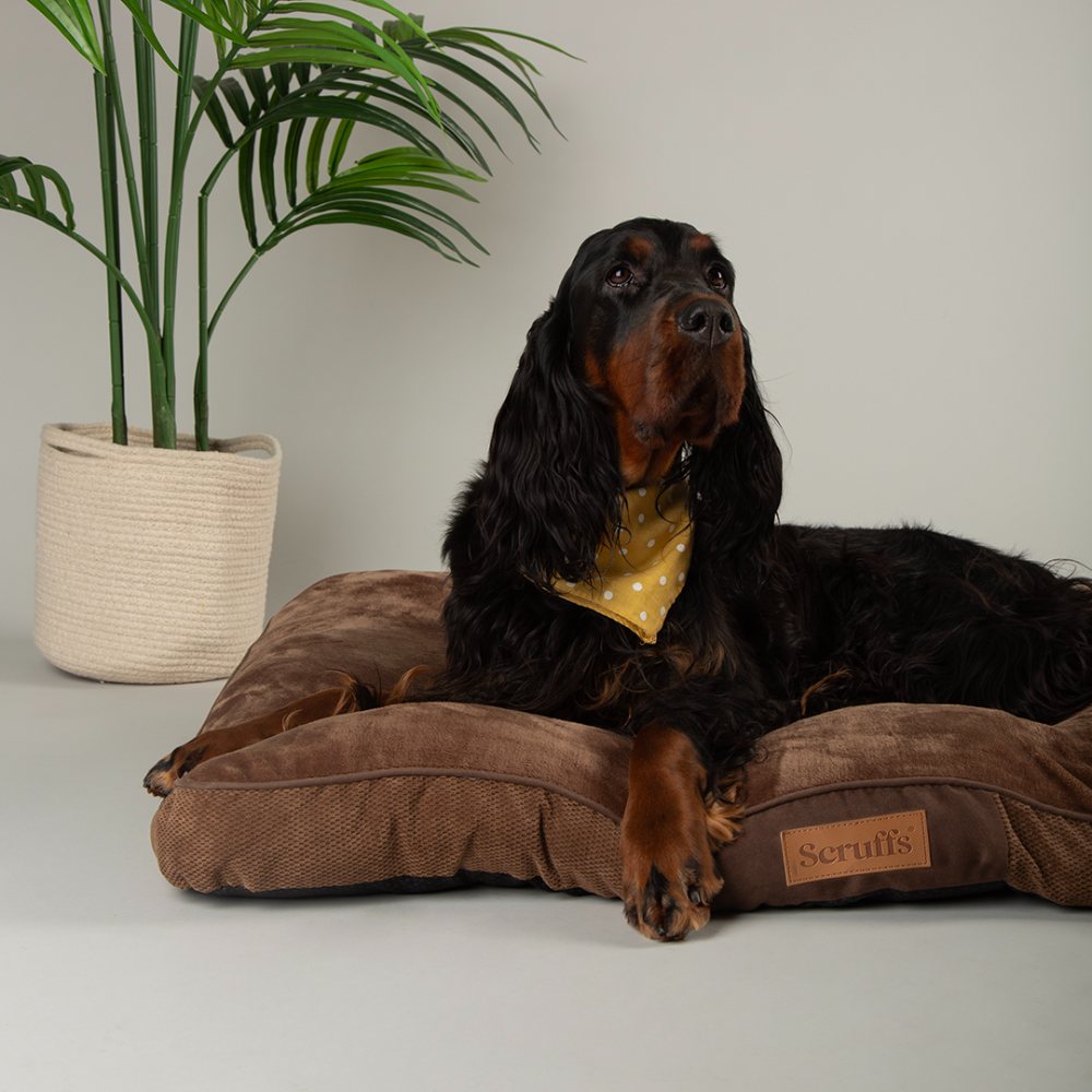 Scruffs Chester slaapplaats gerecycled polyester Large 100x70 cm